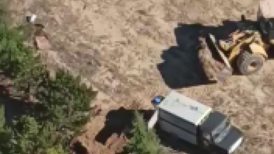 Korkunç iddia! Köpekleri uyuşturup gömdüler