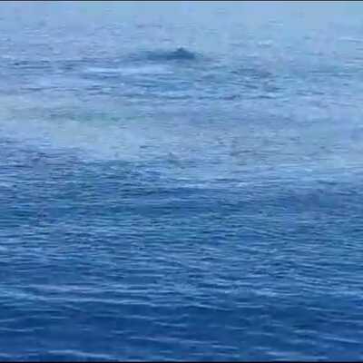 'Van Gölü canavarı' efsanesi yeniden!