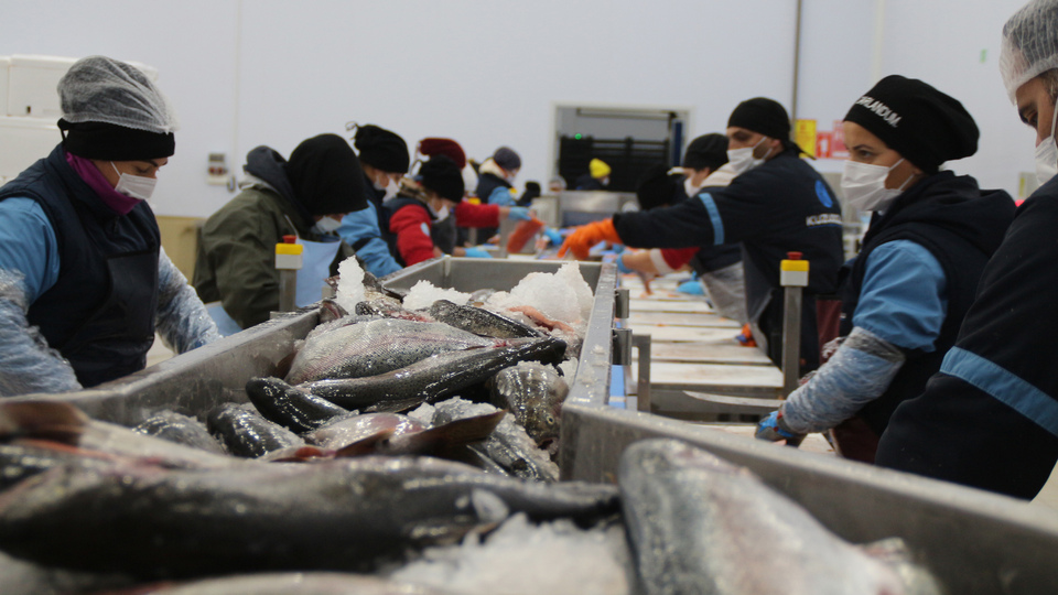 İhracatı yüzde 275 arttı