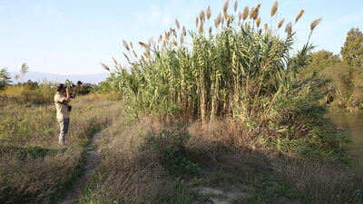 14 yaşından beri yapıyor! 4 türü kayıt altına aldı