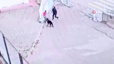 Dehşeti yaşayan çocuğun imdadına güvenlik yetişti!