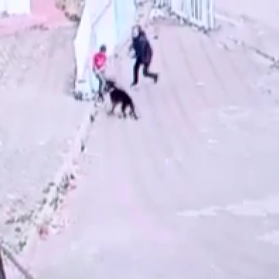 Dehşeti yaşayan çocuğun imdadına güvenlik yetişti!