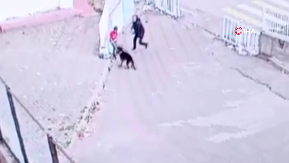 Dehşeti yaşayan çocuğun imdadına güvenlik yetişti!