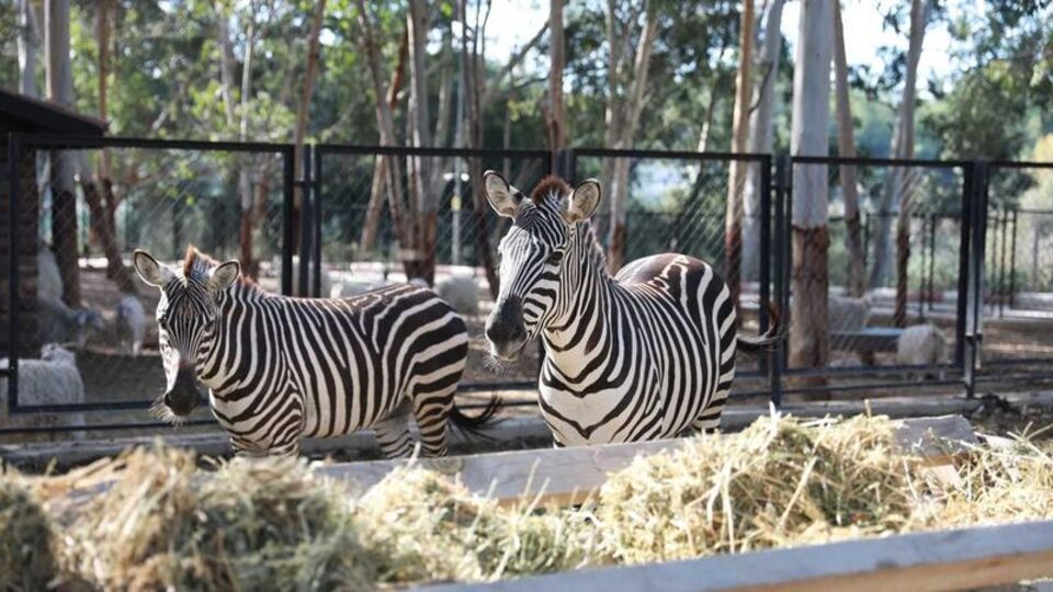 Tarsus Doğa Parkı ziyarete kapatıldı
