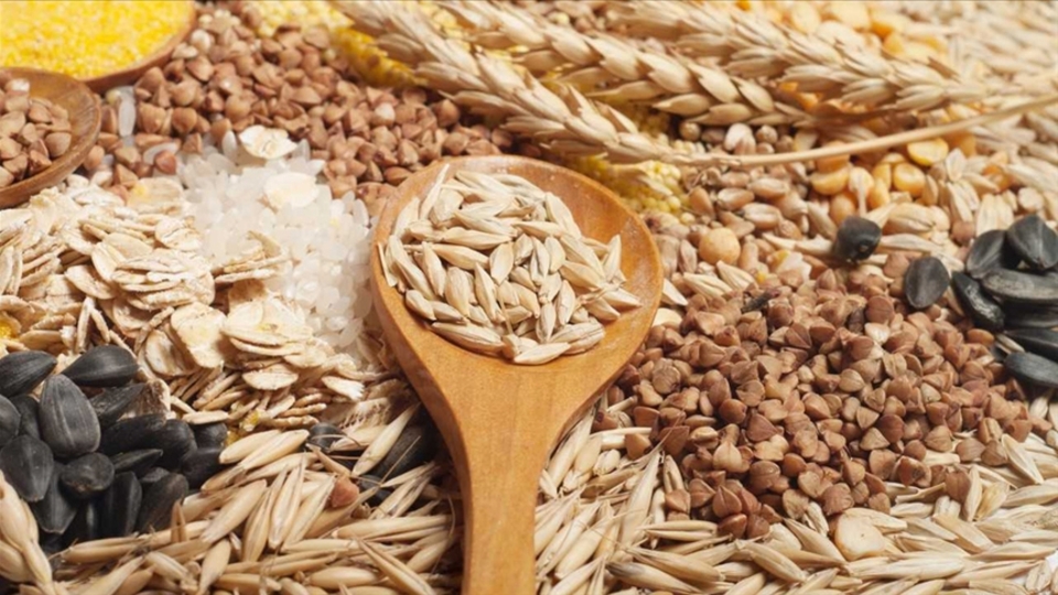 Tarım ihracatında aylık tarihi rekor