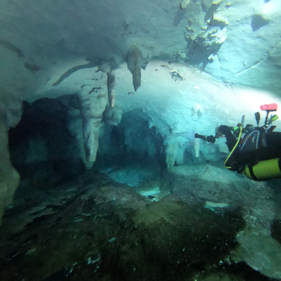 İnsanlık tarihini yeniden şekillendirecek
