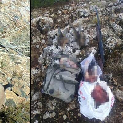 Yaban keçisi avına şok ceza!