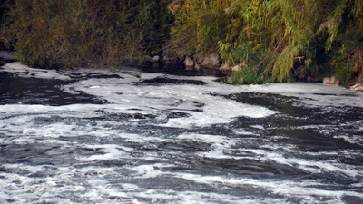 Ceyhan Nehri'nde feci görüntü!