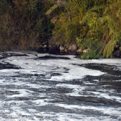 Ceyhan Nehri'nde feci görüntü!