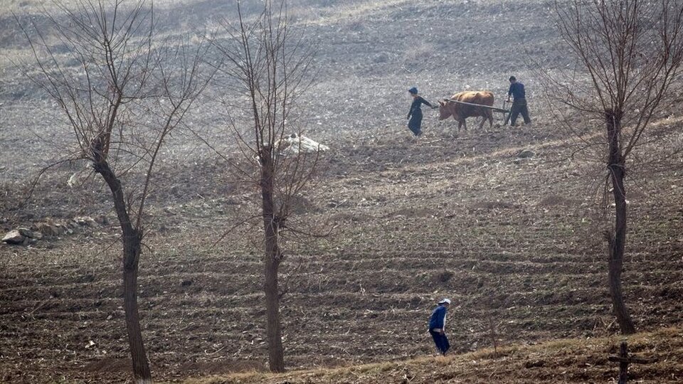 Kuzey Kore'de 'birçok insan kış aylarında açlıktan ölebilir'