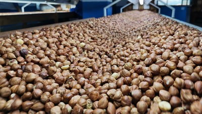 En fazla ihracat Almanya'ya