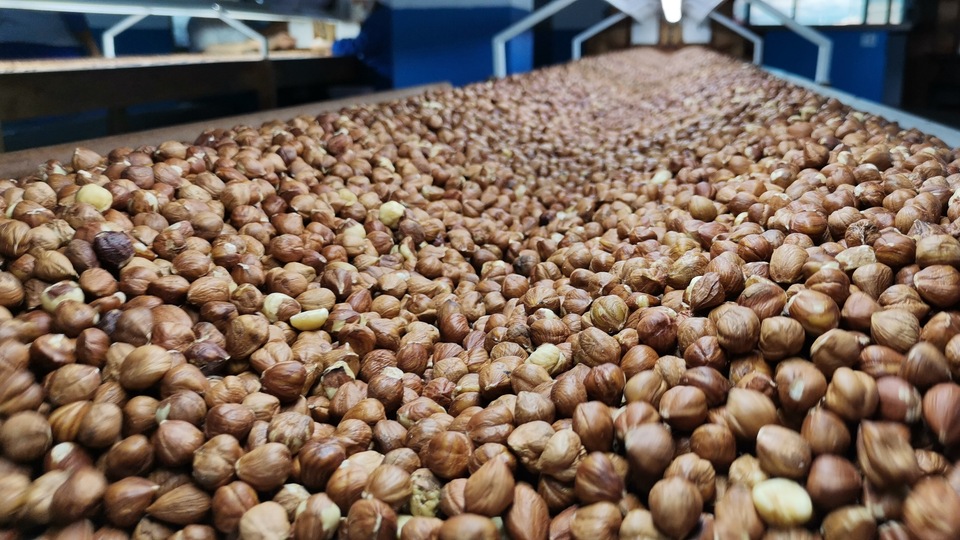 En fazla ihracat Almanya'ya