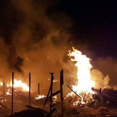 Kundakçı vahşeti! Diri diri yaktı