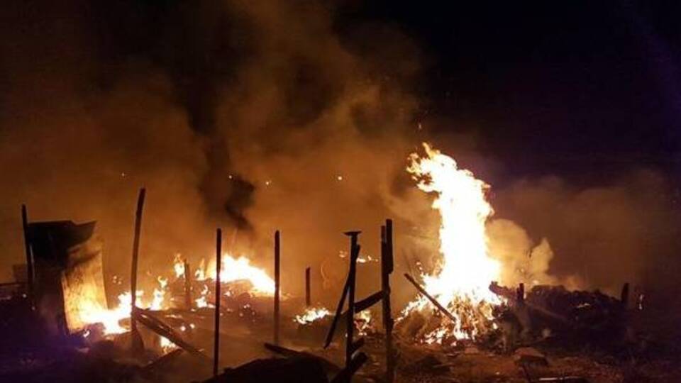 Kundakçı vahşeti! Diri diri yaktı