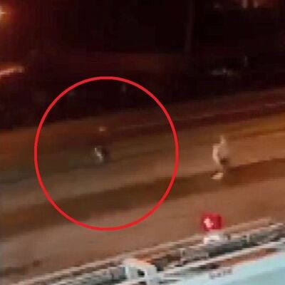 Korkunç olay! Yolun karşısına geçecekti!