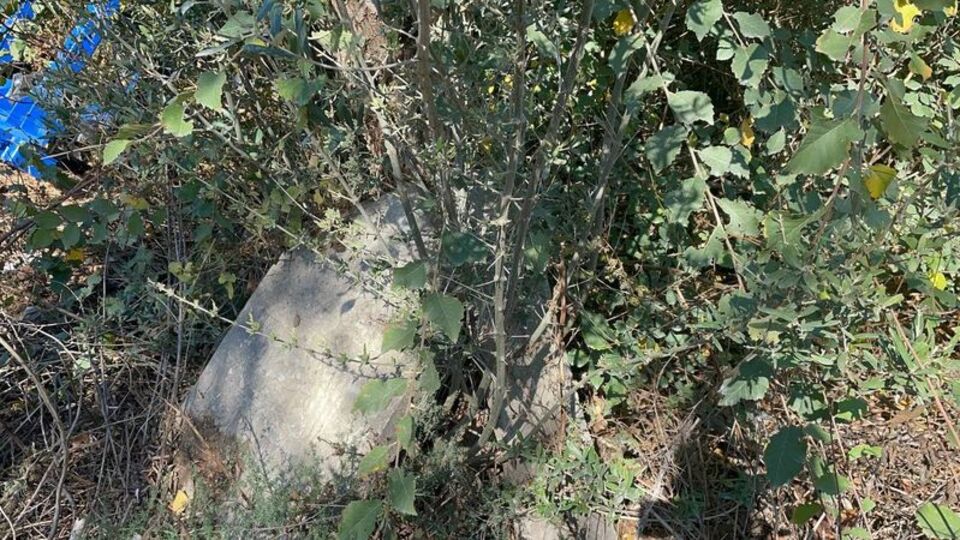 Karton toplayıcısı buldu! Osmanlı dönemine ait