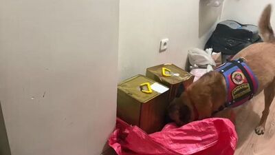 Bal tenekesinden uyuşturucu çıktı