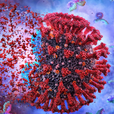 Beklenen haber geldi! COVID mücadelesinde DH1047 umudu