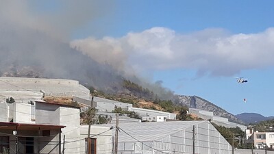Mersin'de orman yangını çıktı!