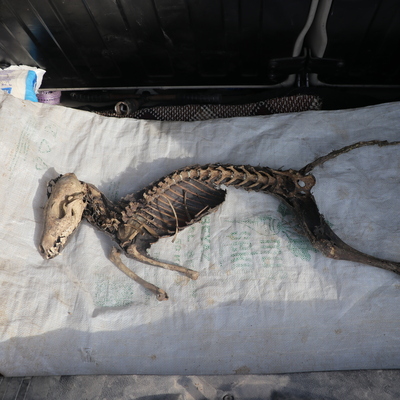 İşçiler kazı yaparken bulmuştu... Araştırılacak