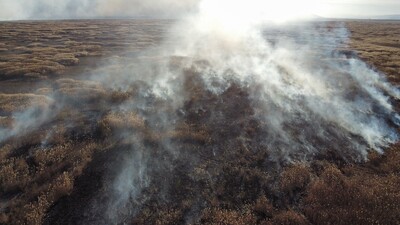 Eber Gölü çevresinde yine yangın çıktı