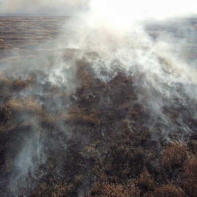 Eber Gölü çevresinde yine yangın çıktı