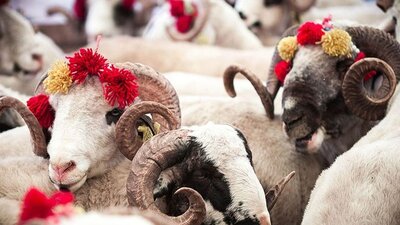 Kurban Bayramı ne zaman 2022?