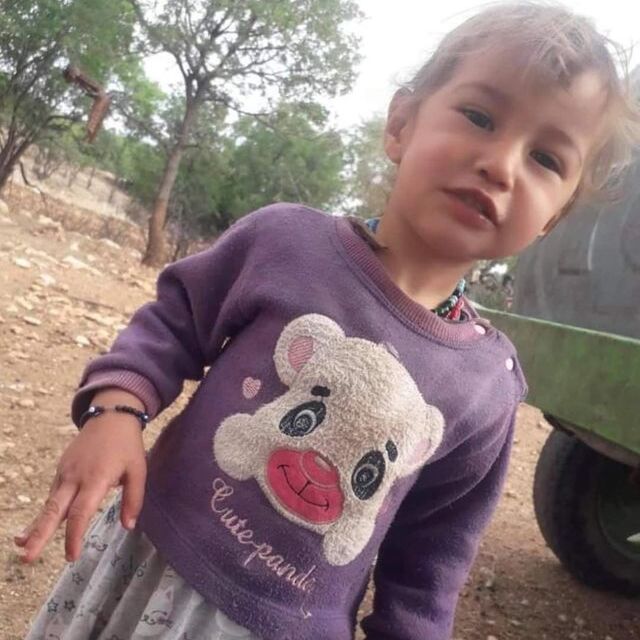 Mersin'de kaybolan 3 yaşındaki kız çocuğu aranıyor