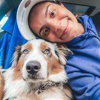 "Köpeğimi kaybettim!"