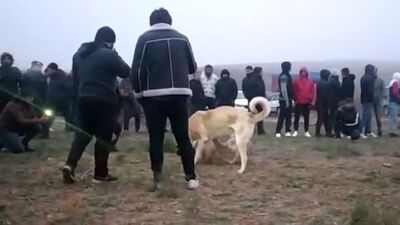 Vicdansızların vahşeti baskınla son buldu