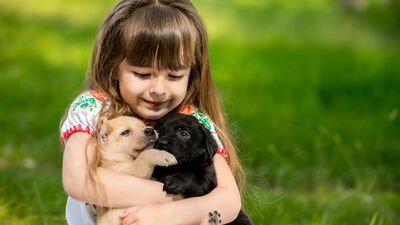 Çocuğunuzun bir hayvanla büyütmesinin faydaları