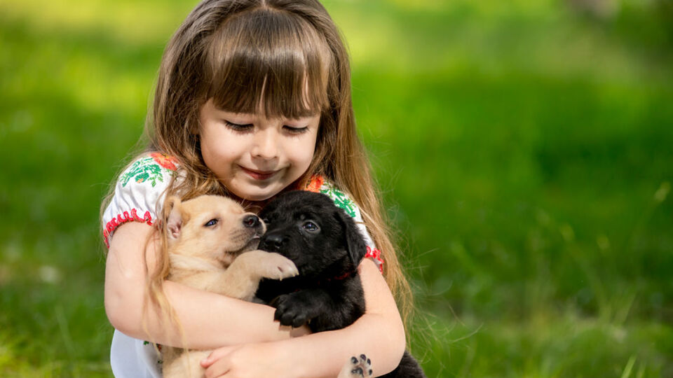 Çocuğunuzun bir hayvanla büyütmesinin faydaları