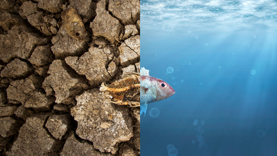 Kriz değil felaket!