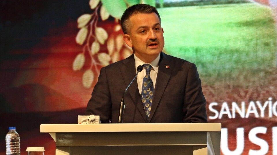 'Zeytin üretimi yüzde 32 artacak'