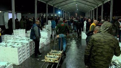 Hamsinin Türkiye'den ABD'ye yolculuğu