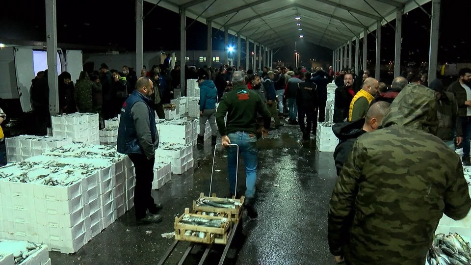 Hamsinin Türkiye'den ABD'ye yolculuğu