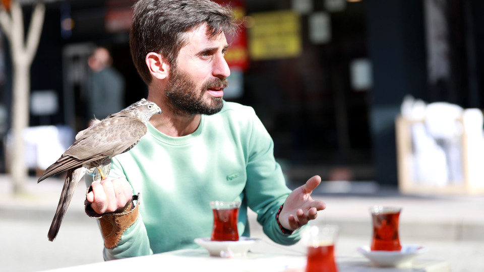 Asalet ve güç sembolü! Yanından ayırmıyor