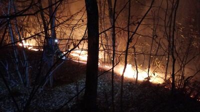 Osmaniye'deki orman yangını kontrol altına alındı