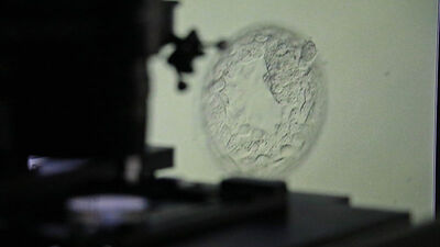 Danıştay'dan çarpıcı tüp bebek kararı!