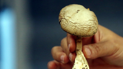 Dikkat öldürüyor! Yüzde 100 emin değilseniz...