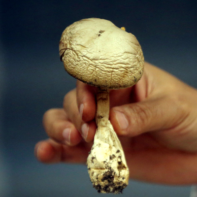 Dikkat öldürüyor! Yüzde 100 emin değilseniz...