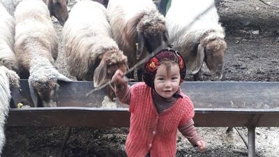 Minik Müslüme 6 gündür kayıp!