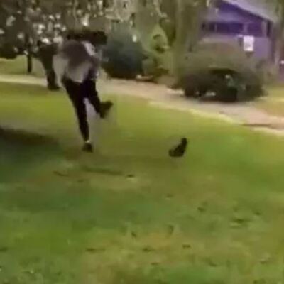 Parkta kediye tekme atmıştı! Sıcak gelişme!