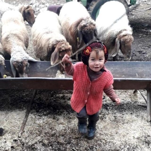 2,5 yaşındaki Müslüme bir haftadır aranıyor