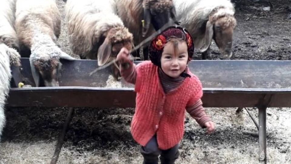 2,5 yaşındaki Müslüme bir haftadır aranıyor