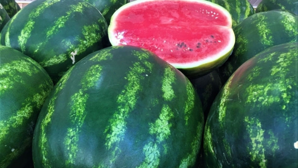 Karpuz Nasıl Seçilir?