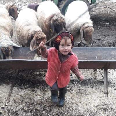 Müslüme'yi arama çalışmalarında 9'uncu gün!