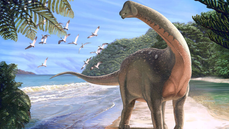 Dişsiz dinozor kalıntısı keşfedildi!
