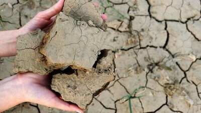 Kuraklık desteği ne zaman yatacak 2021?