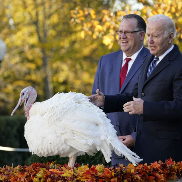 Biden, Şükran Günü için hazırlanmış iki hindiyi affetti